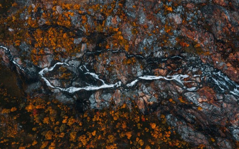 Metal poster guide: innovative autumn editions