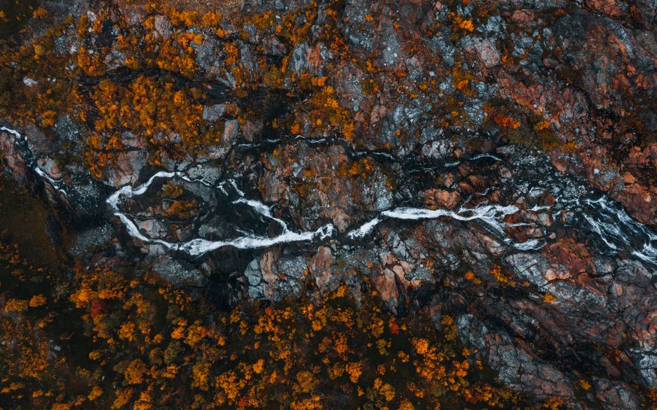 Herfst metal poster met bladmotief.