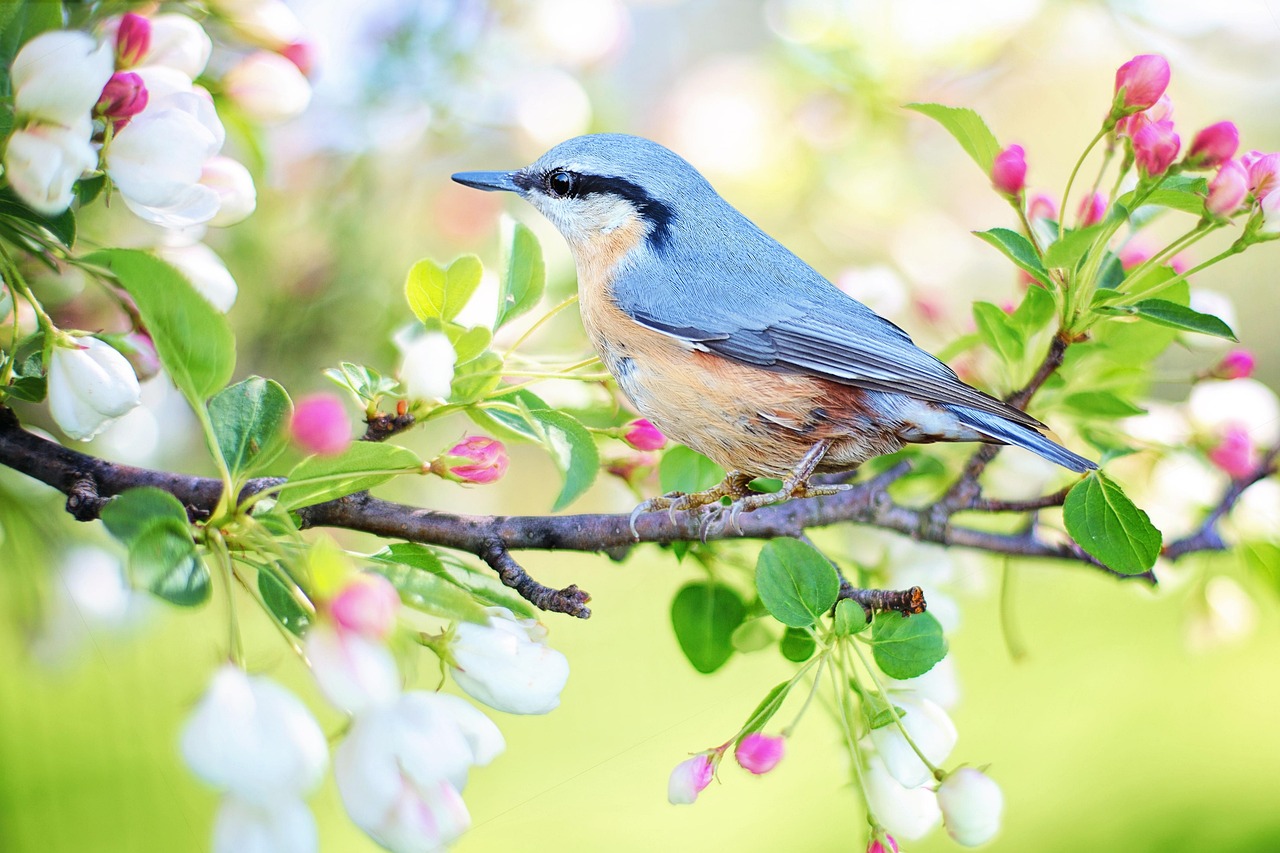 Dromerige vogelstickers sieren houten nachtkastje.